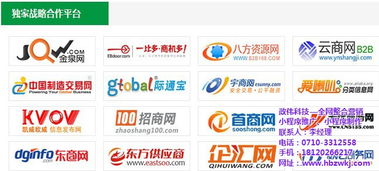 湖北政伟科技携手易站通，打造优质网络营销推广服务