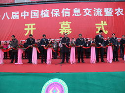 技术推广服务中心的多元发展路径与模式创新